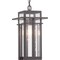 Progress Lighting Boxwood Collection One-Light Hanging Lantern P550039-020 - alternate 1